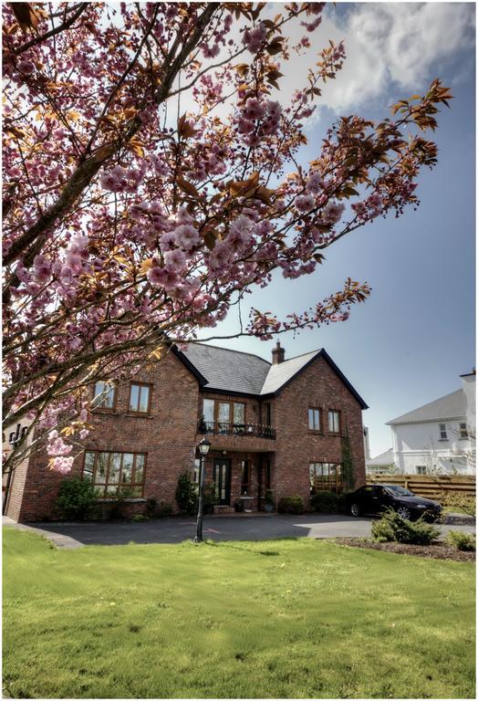 Oranhill Lodge Guesthouse Oranmore Eksteriør bilde