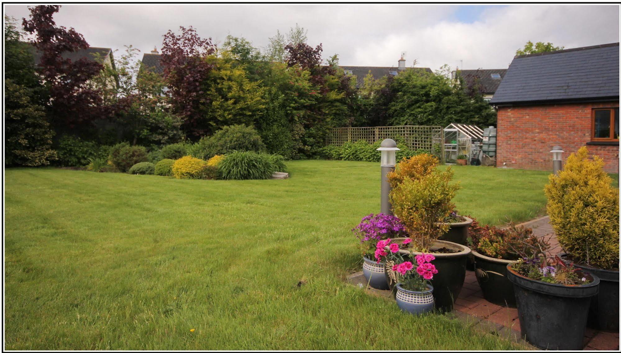 Oranhill Lodge Guesthouse Oranmore Eksteriør bilde